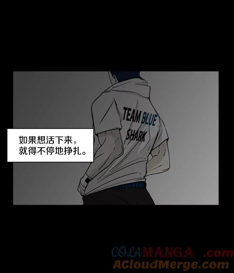 0.鲨鱼 第9页