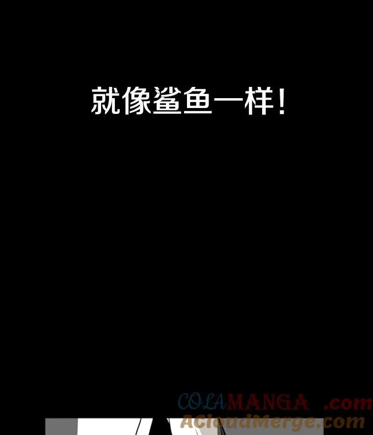 0.鲨鱼 第11页