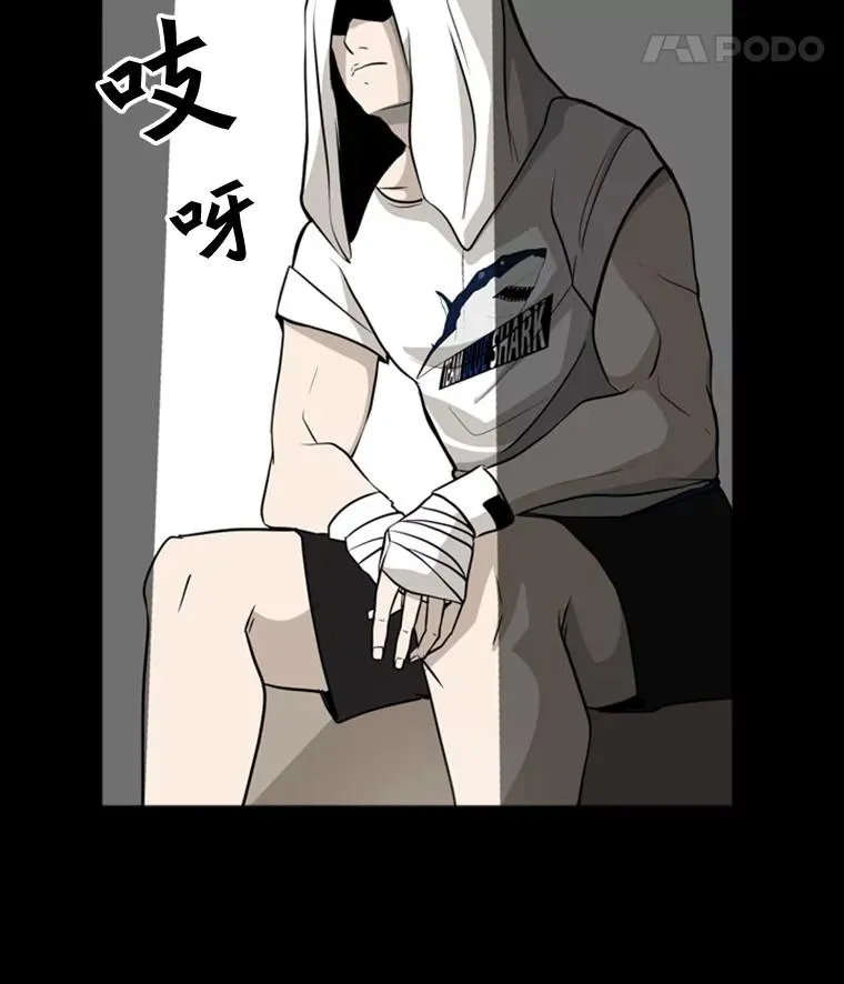 0.鲨鱼 第12页
