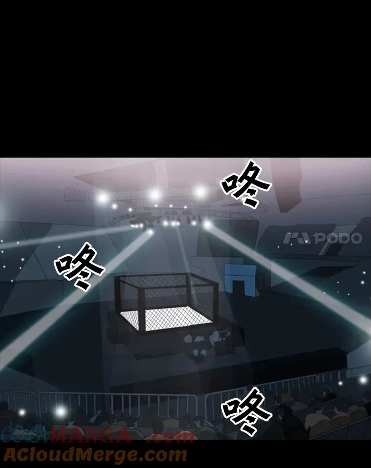 0.鲨鱼 第15页