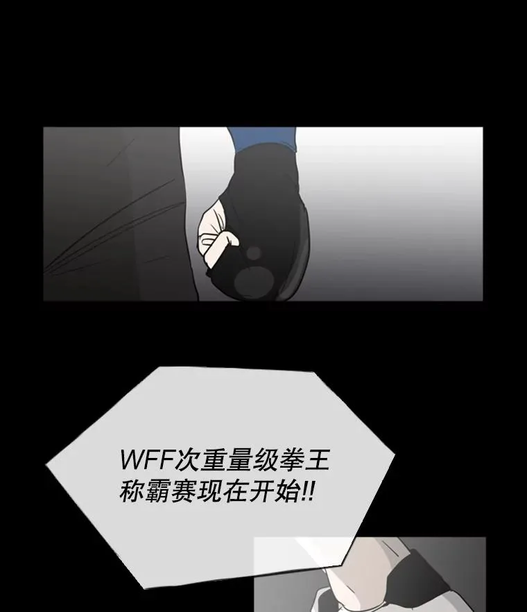 0.鲨鱼 第18页