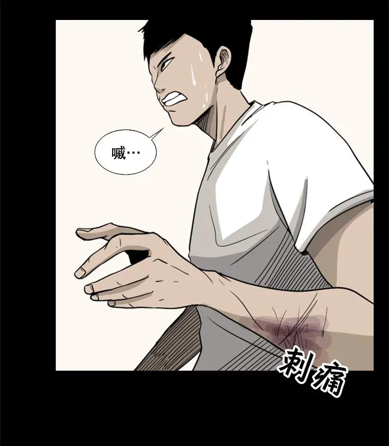 19.联盟 第17页