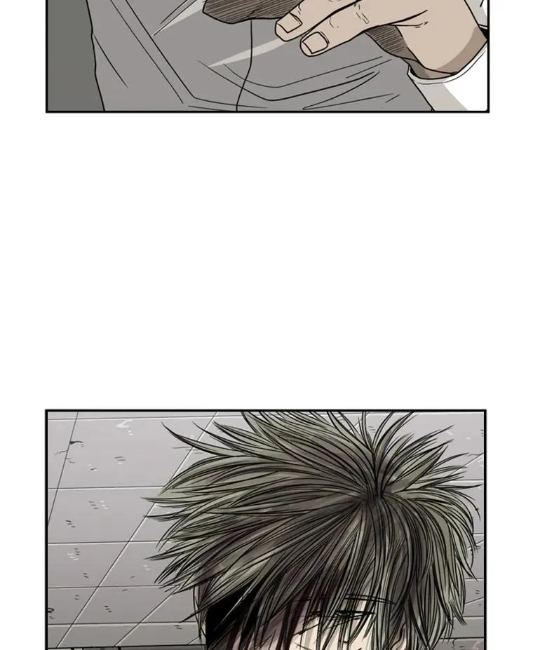 28.确定 第22页