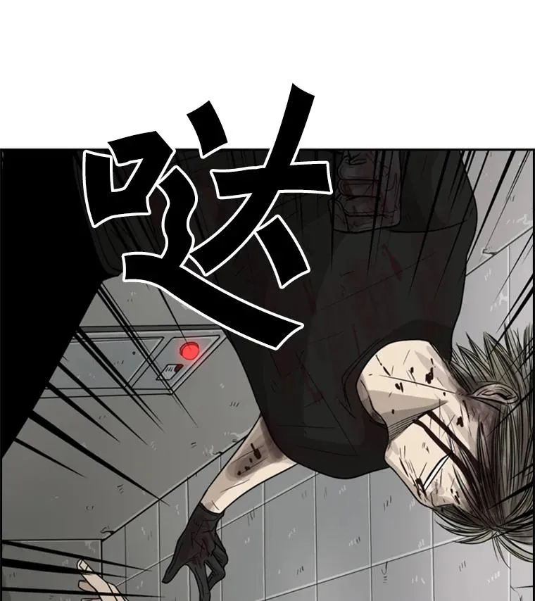 28.确定 第24页