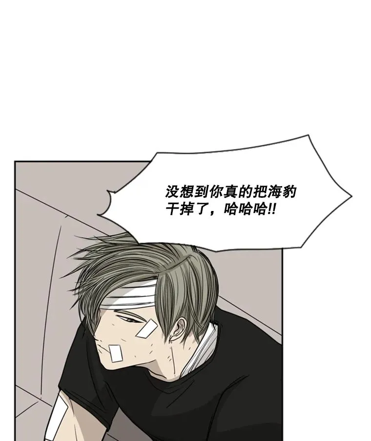 28.确定 第31页