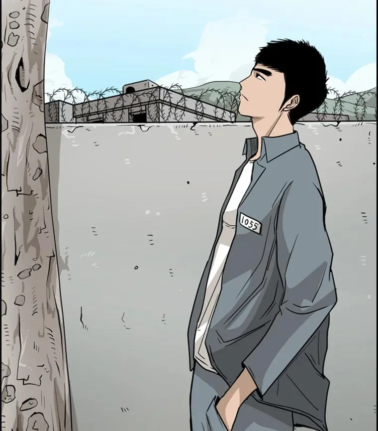 28.确定 第75页