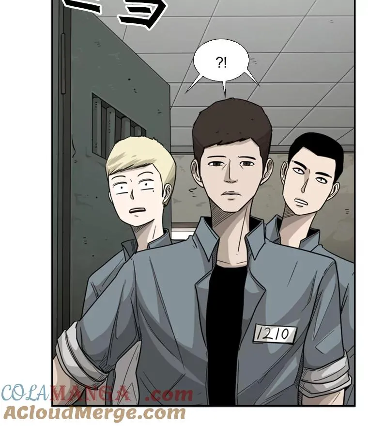 34.挑衅 第41页