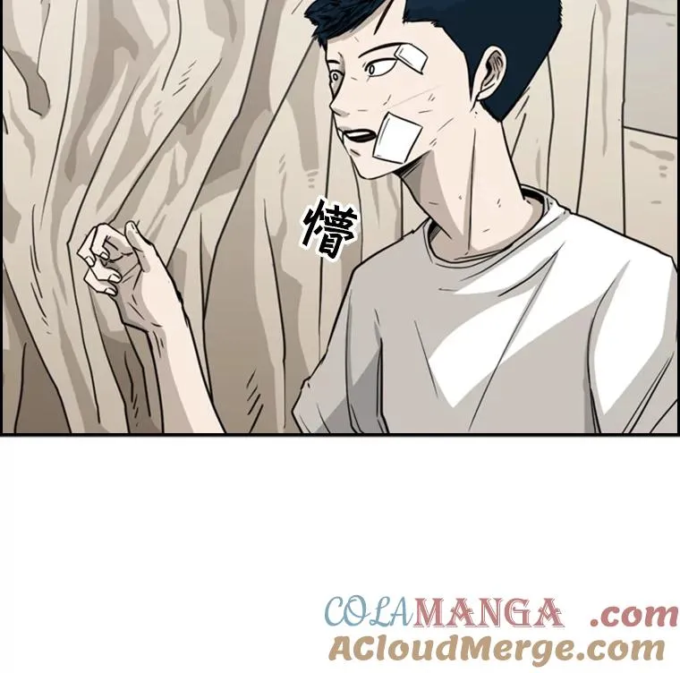46.相似 第13页