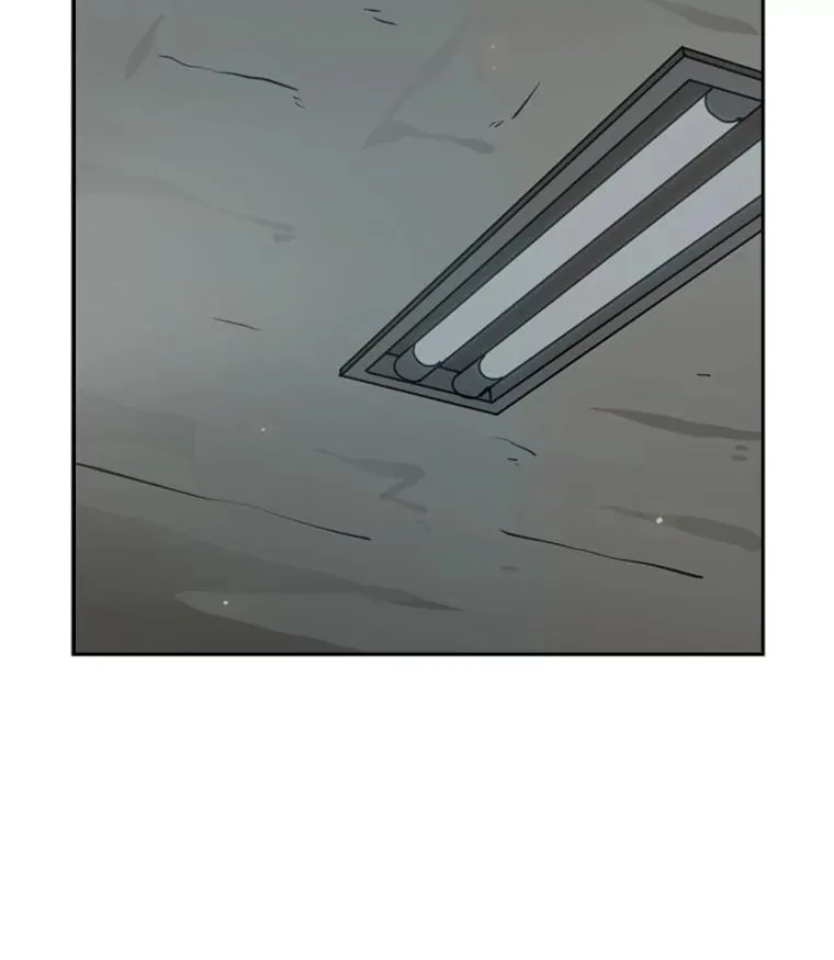 46.相似 第95页