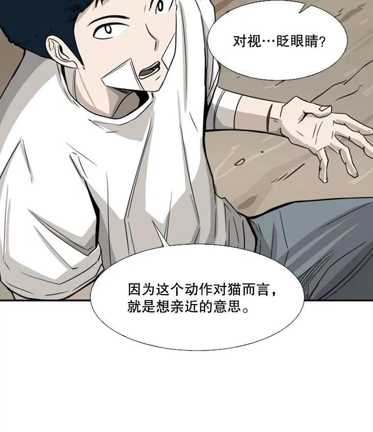 47.接近 第96页