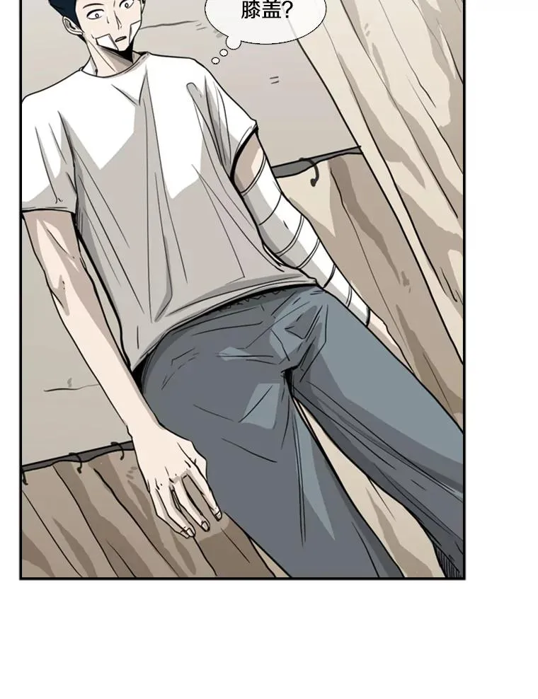 48.示范 第44页