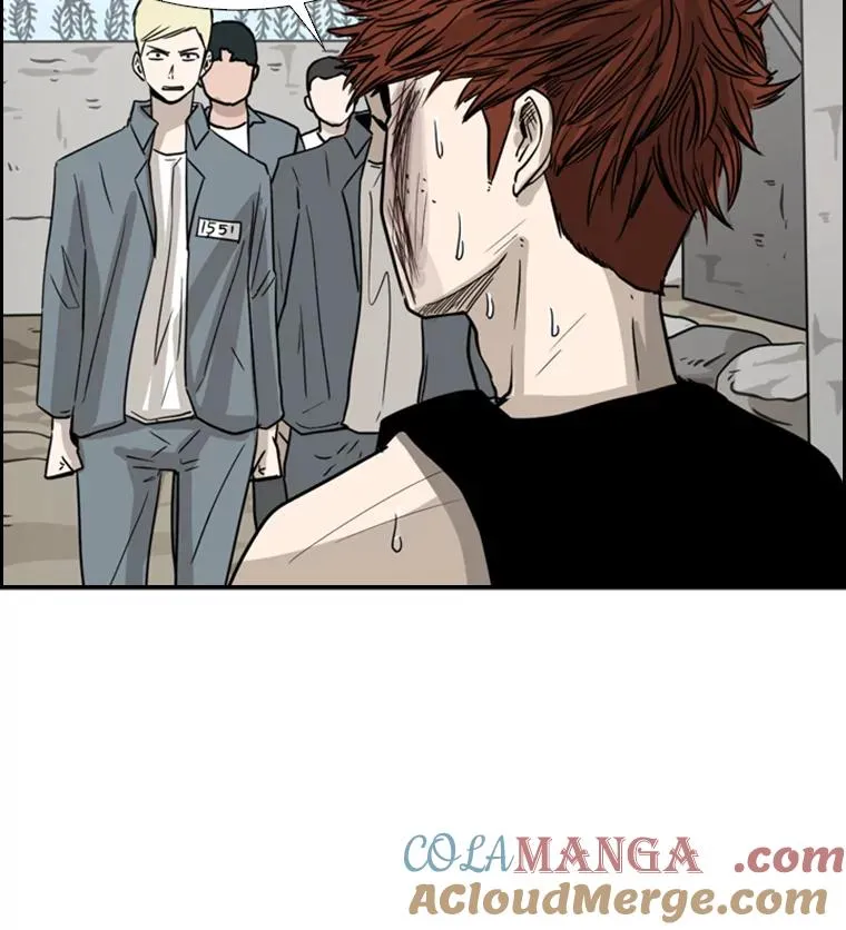51.不死鸟 第21页