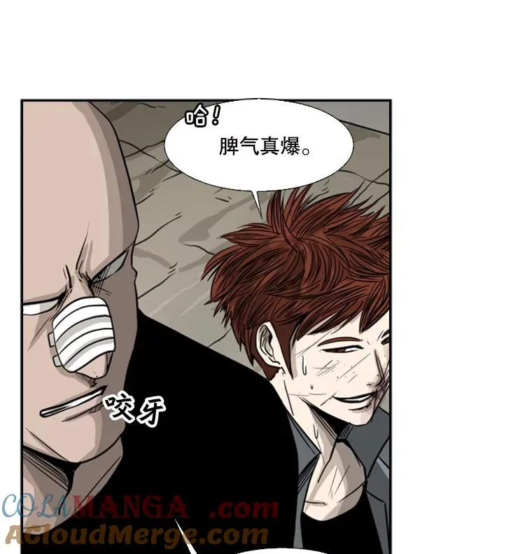 51.不死鸟 第41页