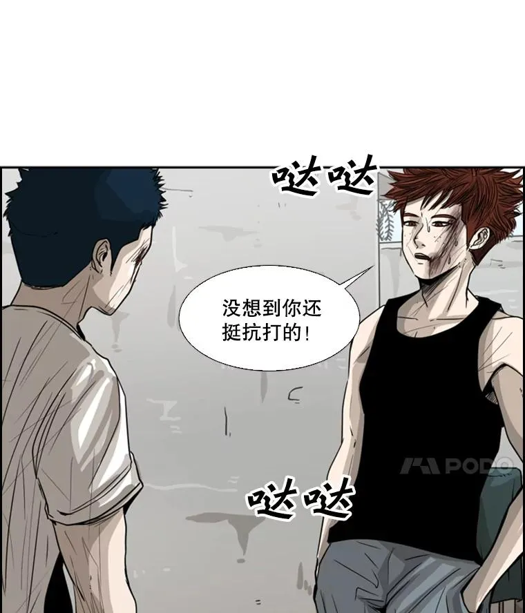 51.不死鸟 第52页