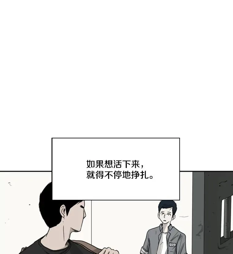 51.不死鸟 第84页
