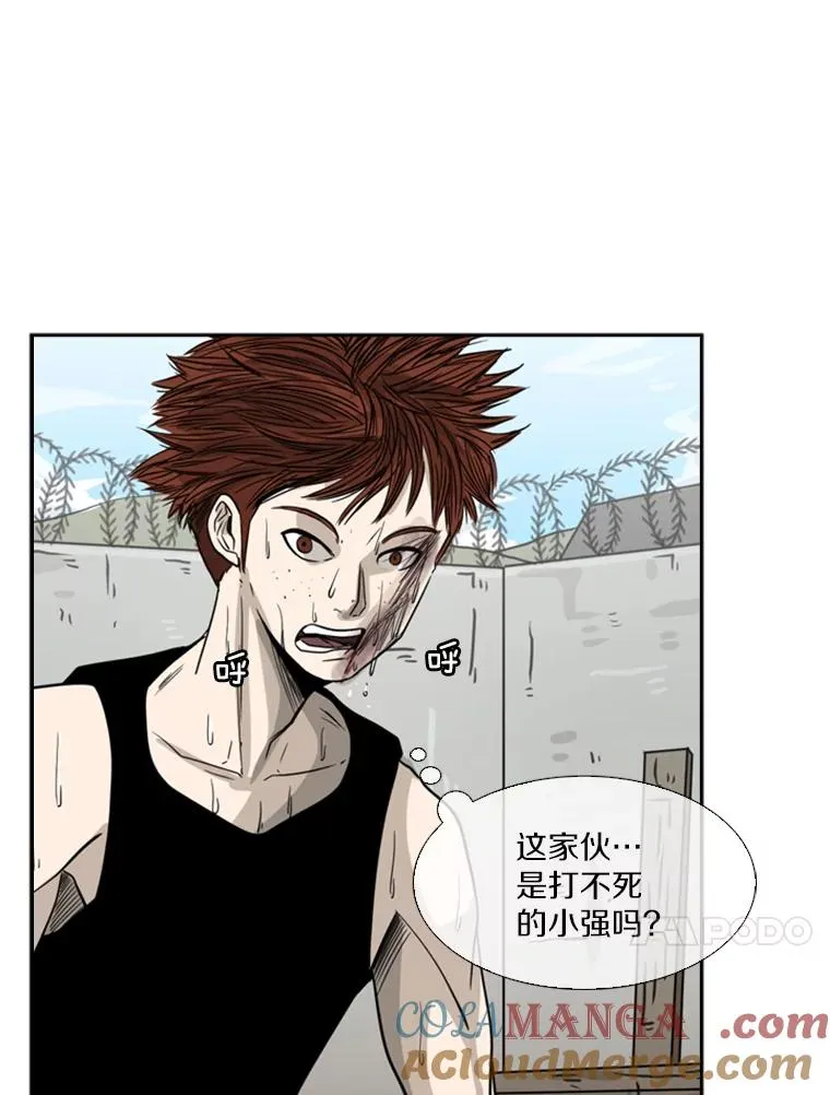 51.不死鸟 第97页