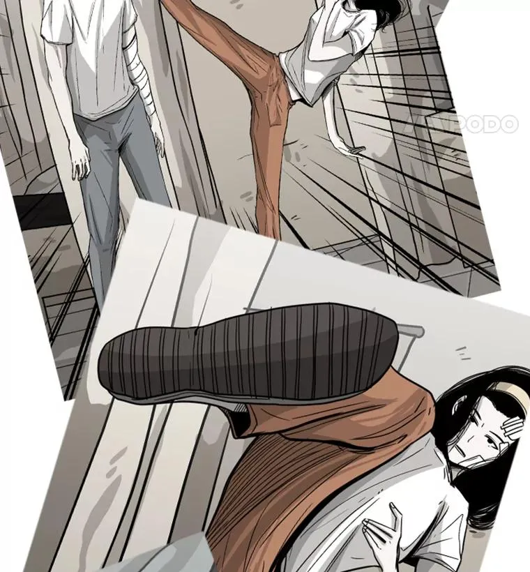 51.不死鸟 第120页