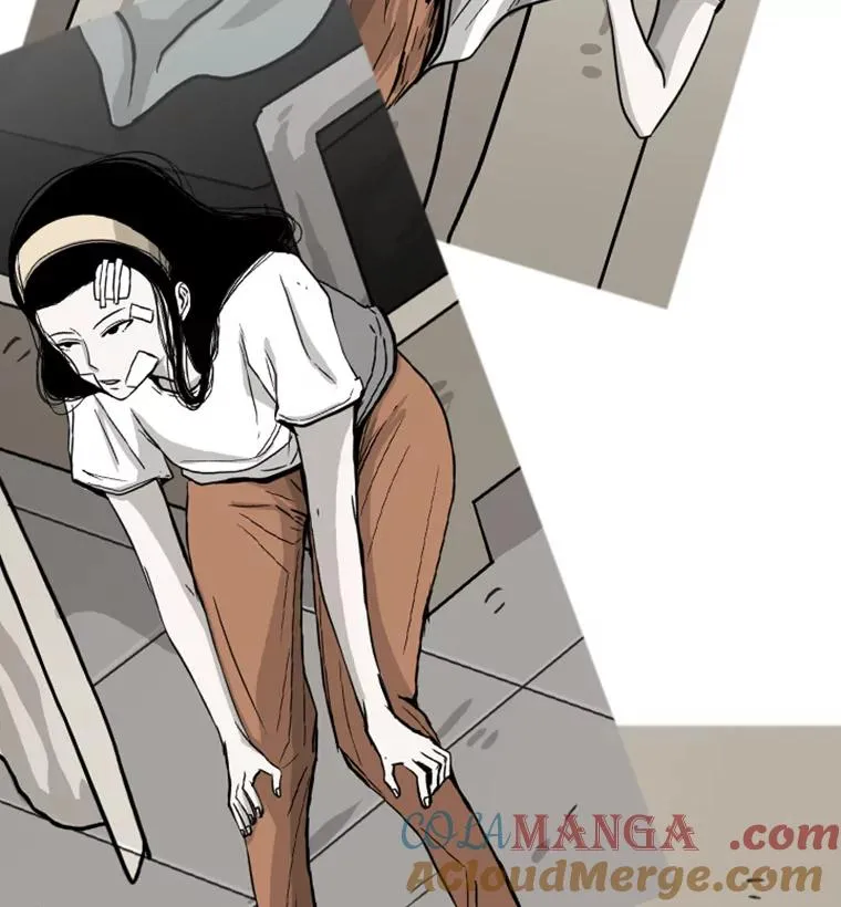 51.不死鸟 第121页