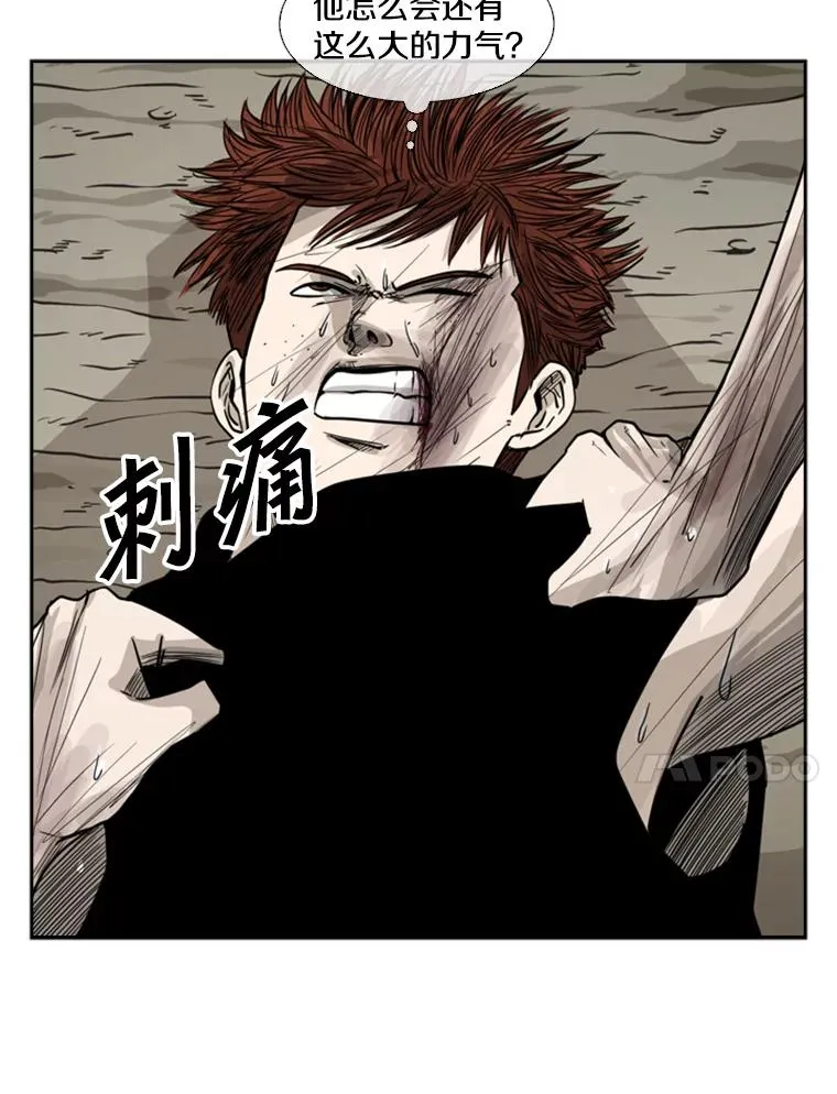 52.战斗结束 第16页