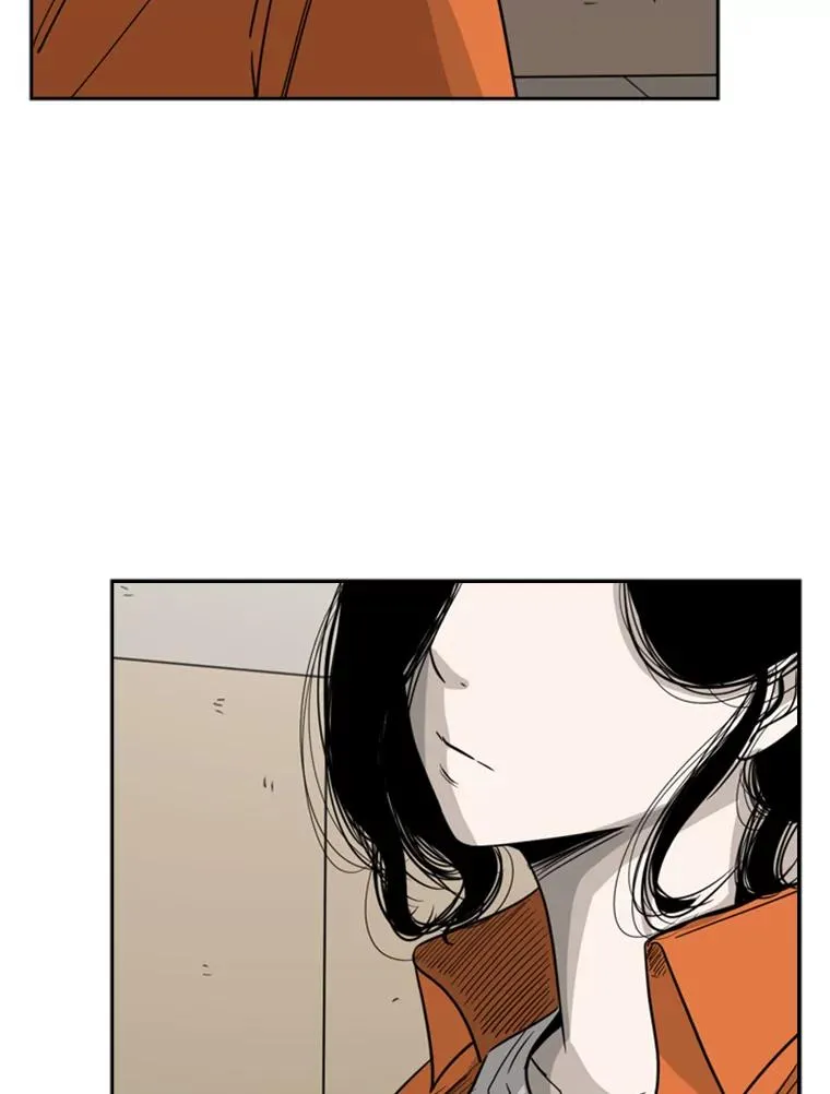 55.和平协议 第2页