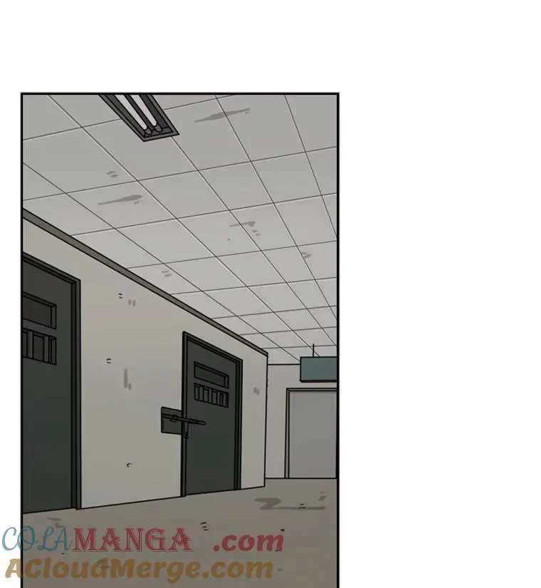 55.和平协议 第13页