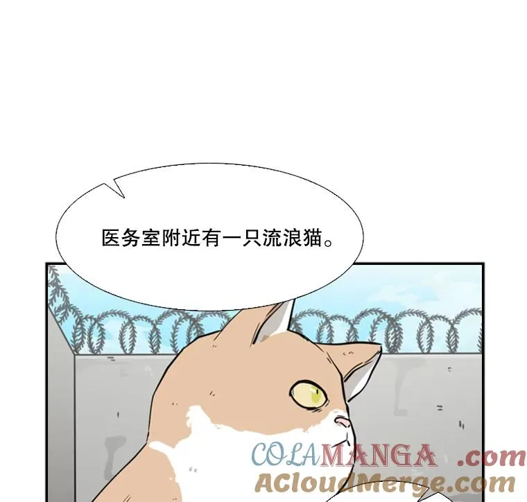 55.和平协议 第17页