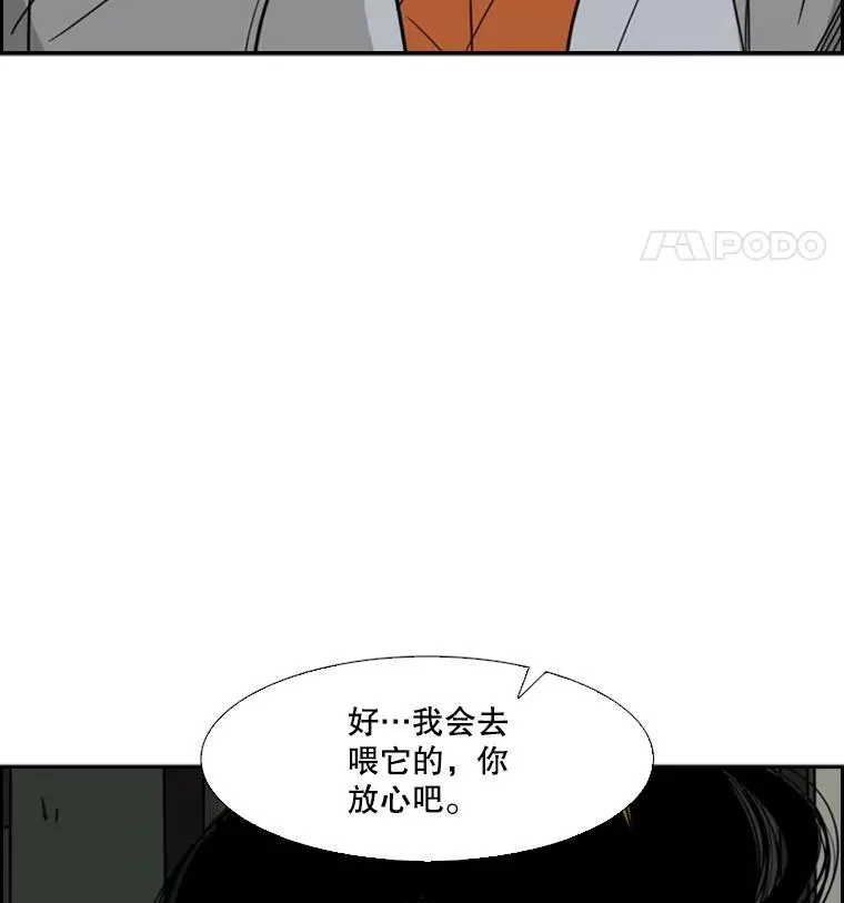 55.和平协议 第24页