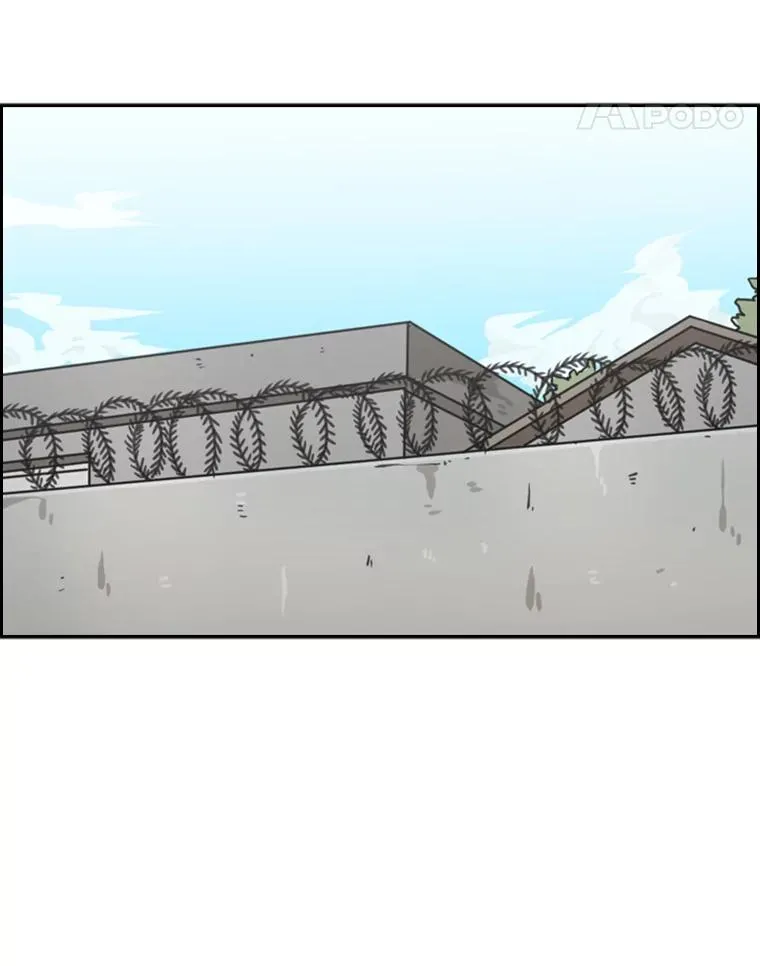 55.和平协议 第31页