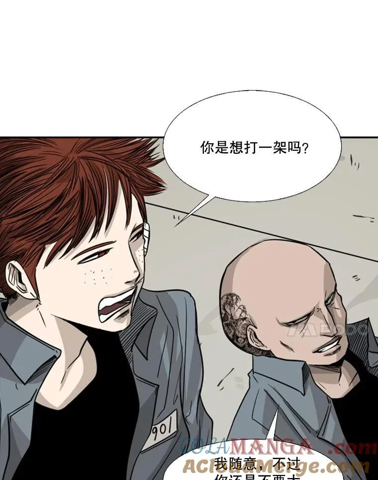 55.和平协议 第37页
