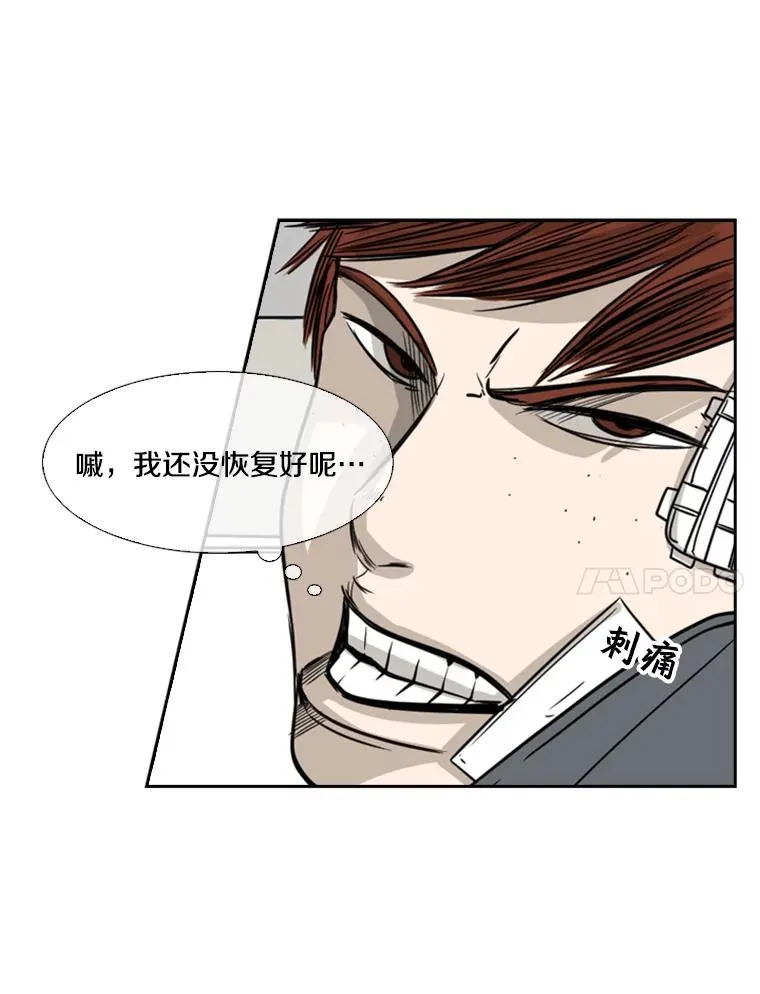 55.和平协议 第44页