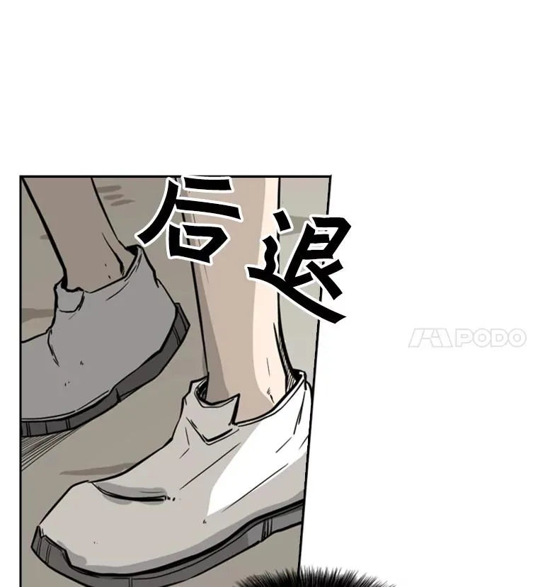 55.和平协议 第51页