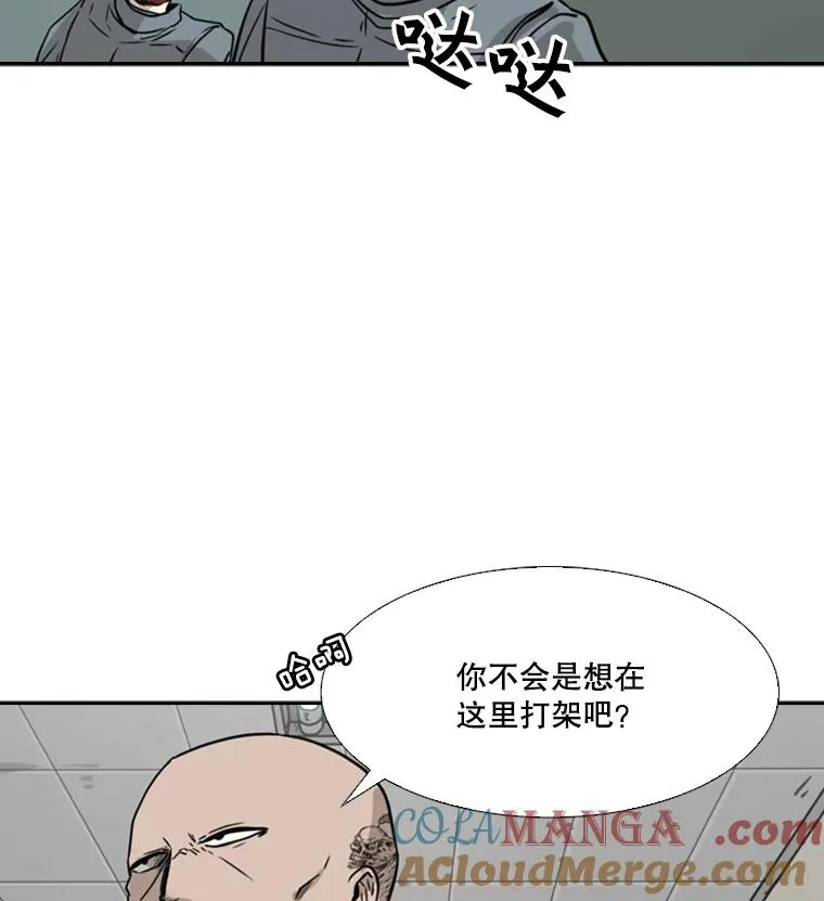 55.和平协议 第61页
