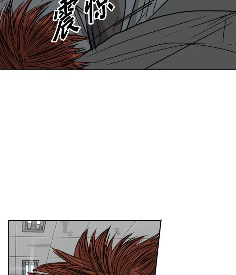 55.和平协议 第64页
