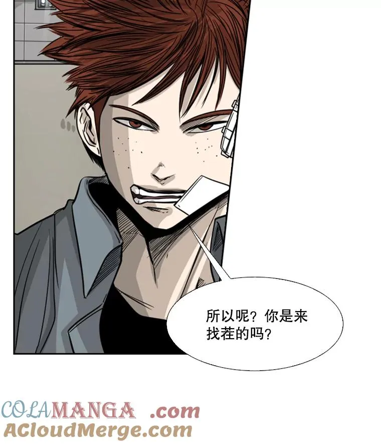 55.和平协议 第65页