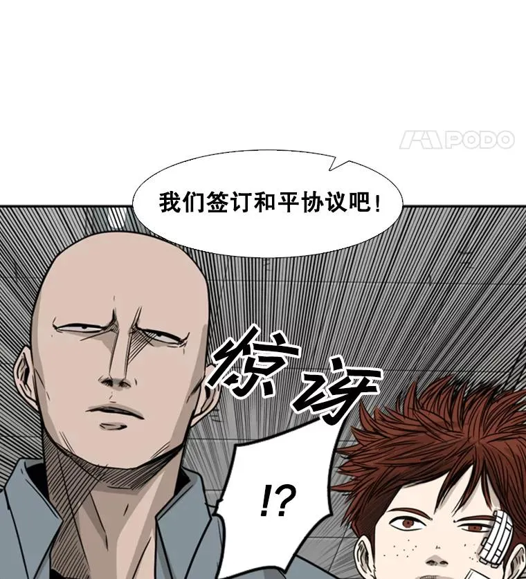 55.和平协议 第78页