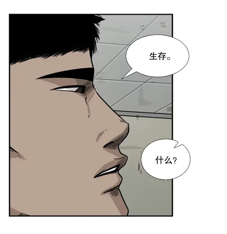 55.和平协议 第84页