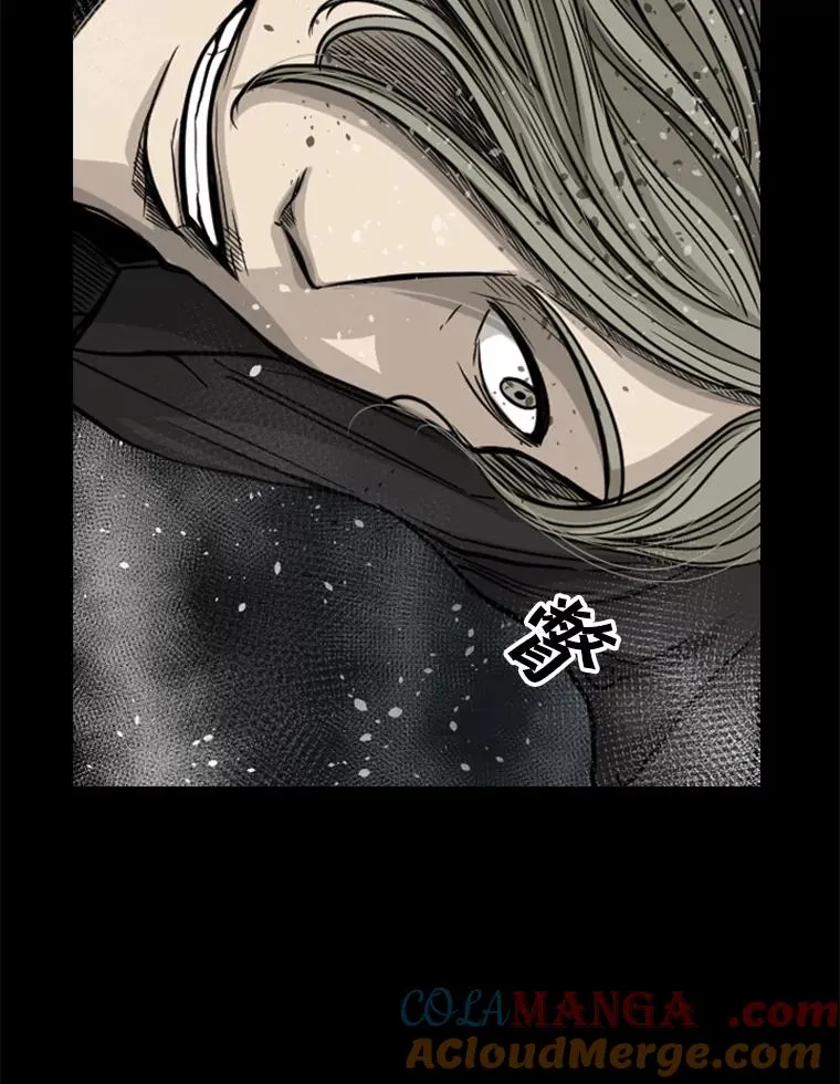 65.最后武器 第17页