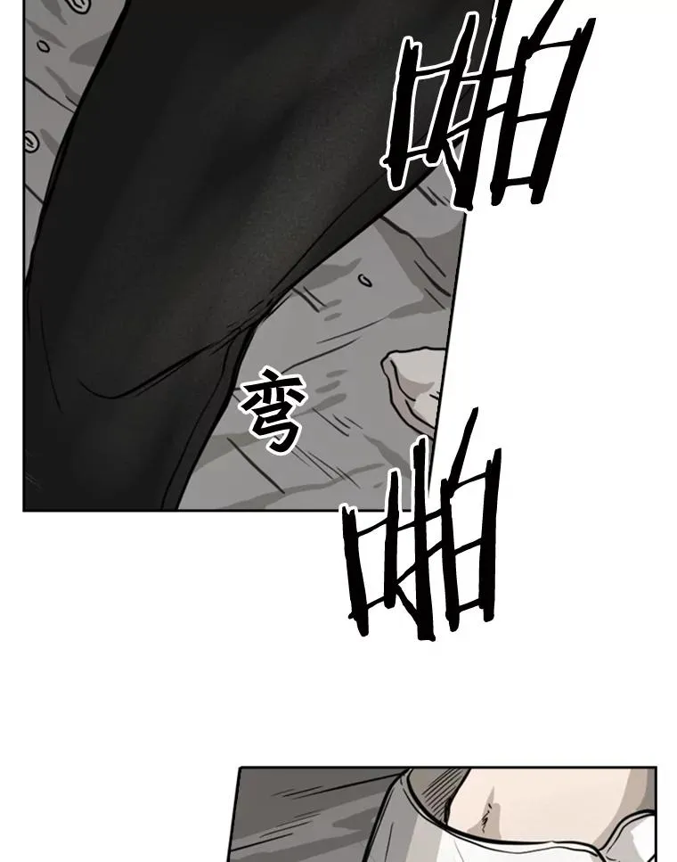 65.最后武器 第67页