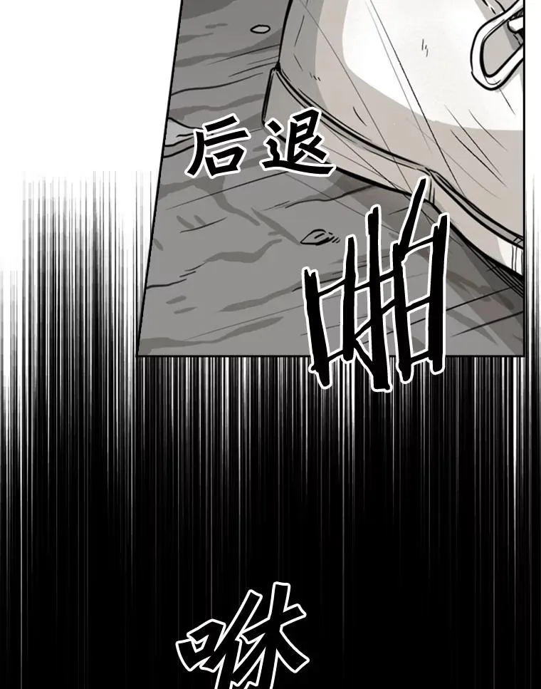 65.最后武器 第68页