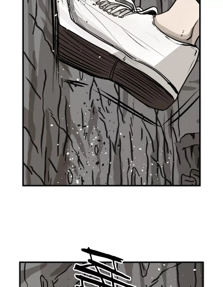 66.分出胜负 第47页
