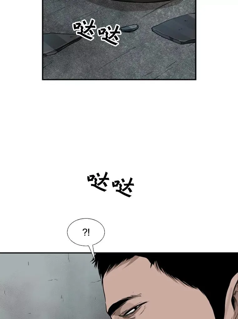 89.新秀锦标赛 第20页