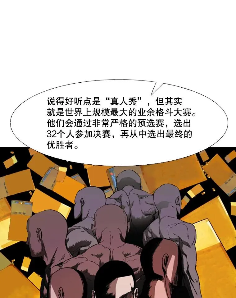 89.新秀锦标赛 第87页