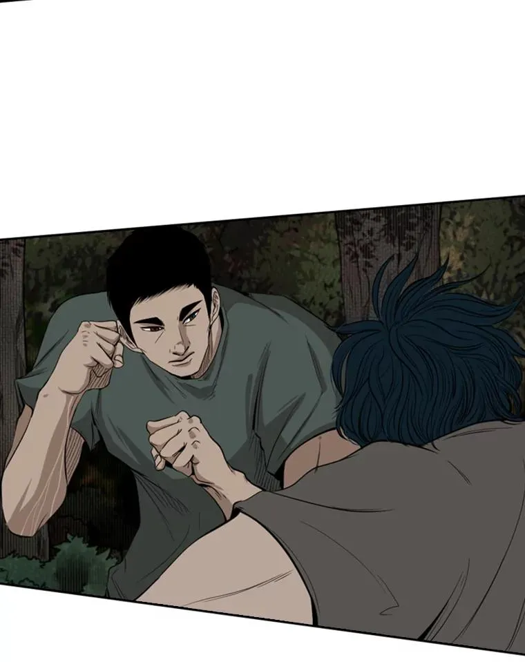 102.入秋 第87页