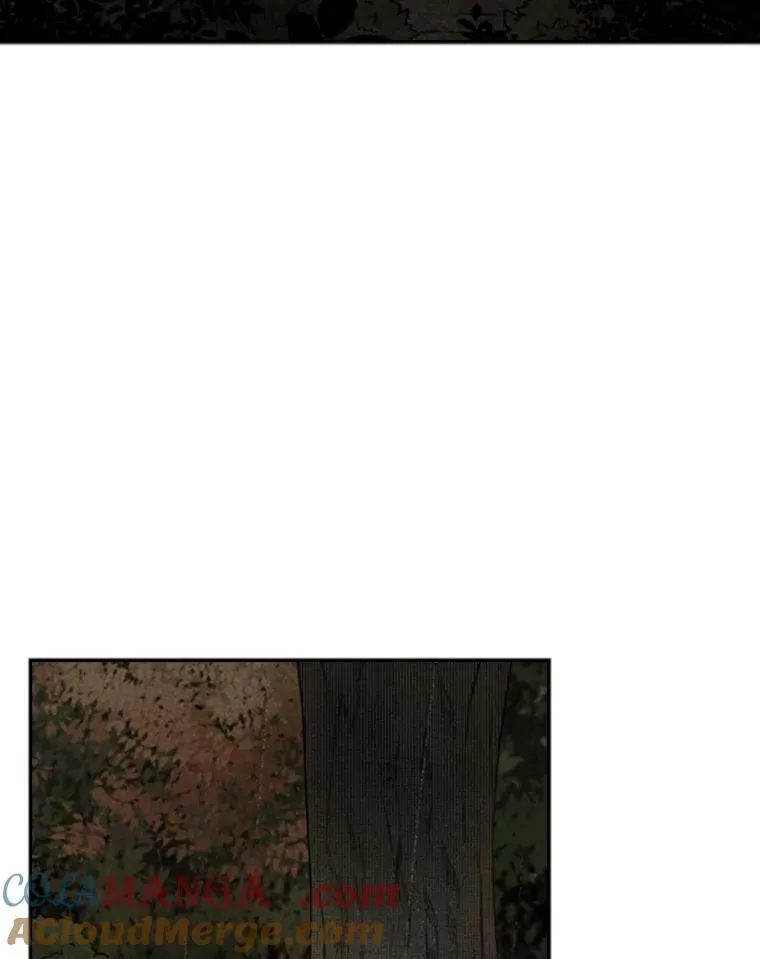 104.陷入危险 第17页