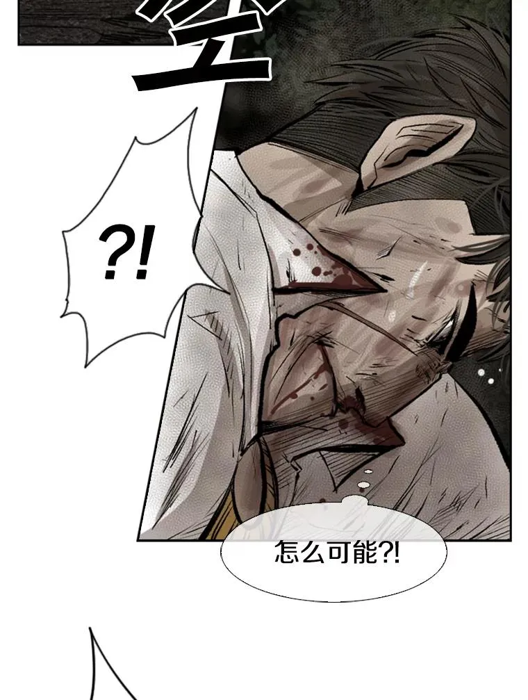 117.最后一击 第79页