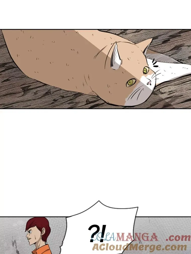 124.外传3.那只猫想让你自由 第57页