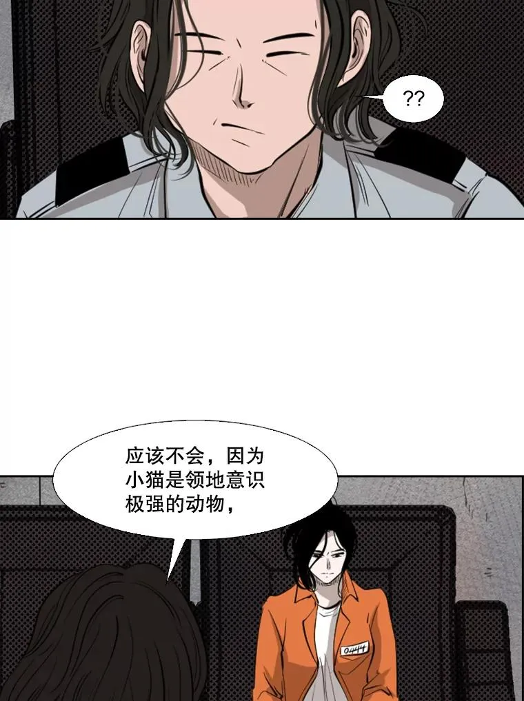 124.外传3.那只猫想让你自由 第70页