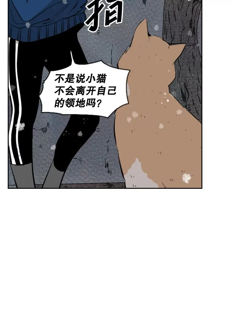 124.外传3.那只猫想让你自由 第88页