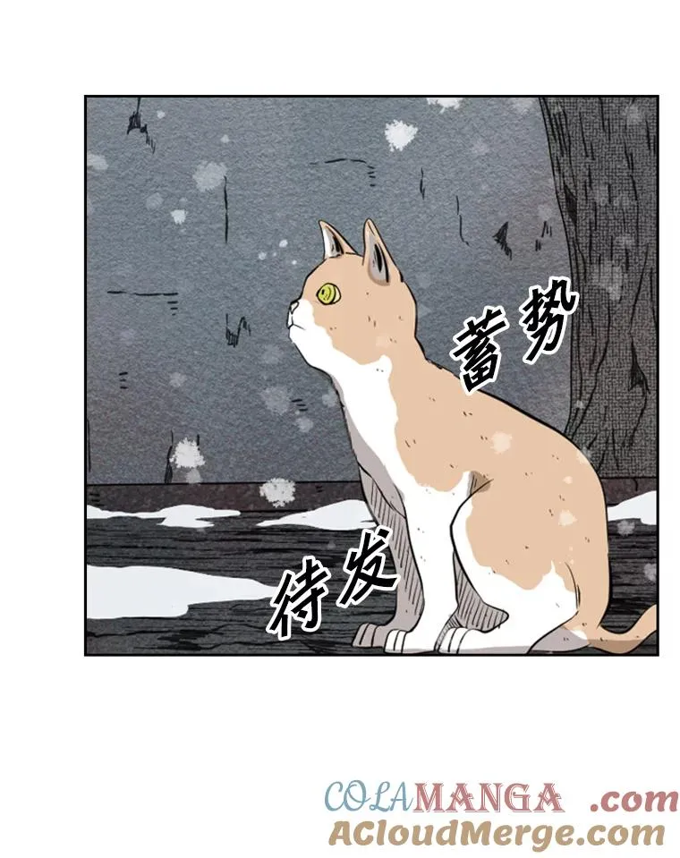 124.外传3.那只猫想让你自由 第89页