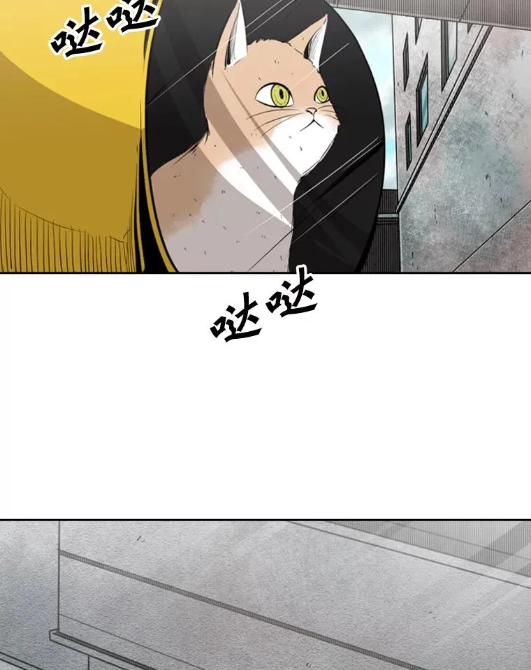 127.报名 第47页